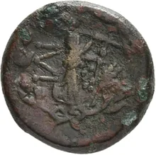 coin rev