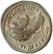 coin obv