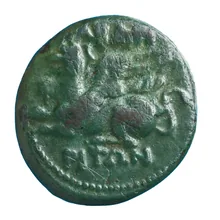 coin obv