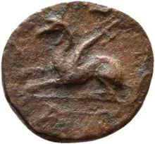 coin rev