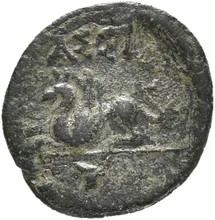 coin rev
