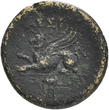 coin rev