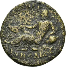 coin rev