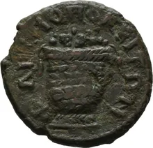 coin rev