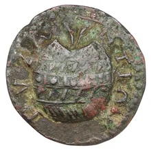 coin rev