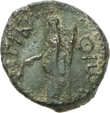 coin rev