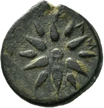 coin rev