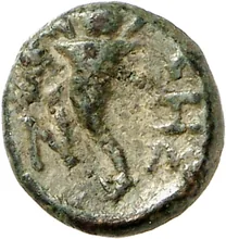 coin rev
