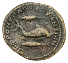 coin rev