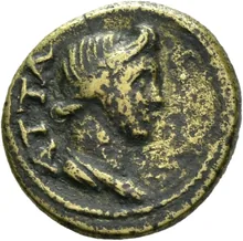 coin rev