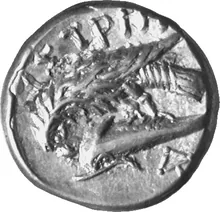 coin rev