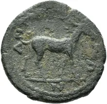 coin rev