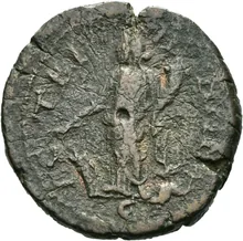 coin rev