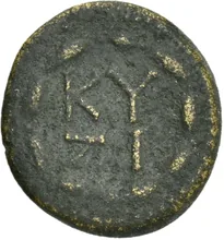 coin rev