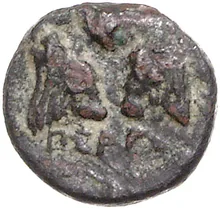 coin rev
