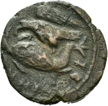 coin rev