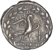 coin rev