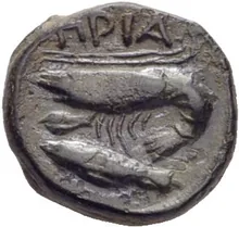 coin rev