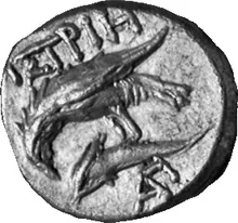 coin rev