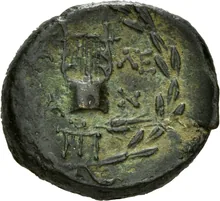 coin rev