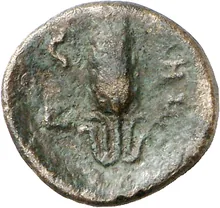 coin rev