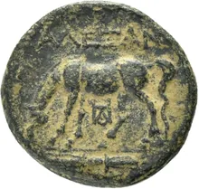 coin rev