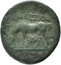 coin rev