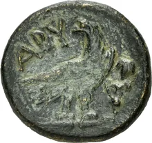 coin rev