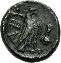 coin rev