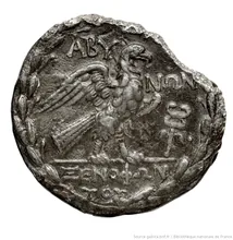 coin rev