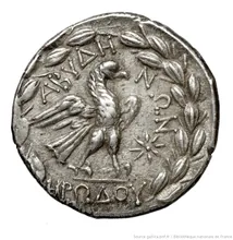 coin rev