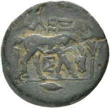 coin rev