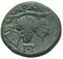 coin rev