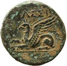coin rev