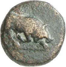 coin obv