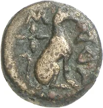 coin rev