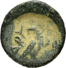 coin rev