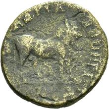 coin rev