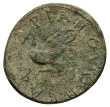 coin rev