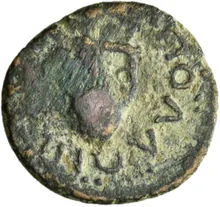 coin rev