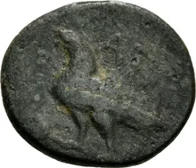 coin rev