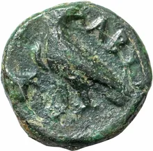 coin rev