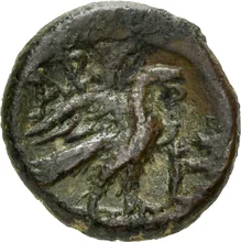 coin rev