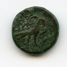 coin rev