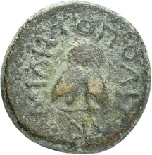 coin rev