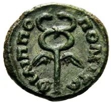 coin rev