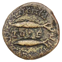 coin rev