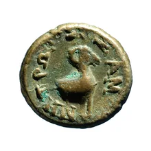 coin rev
