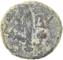 coin rev