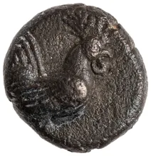 coin obv